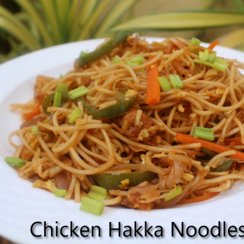 Chicken hakka noodles indo chinese style